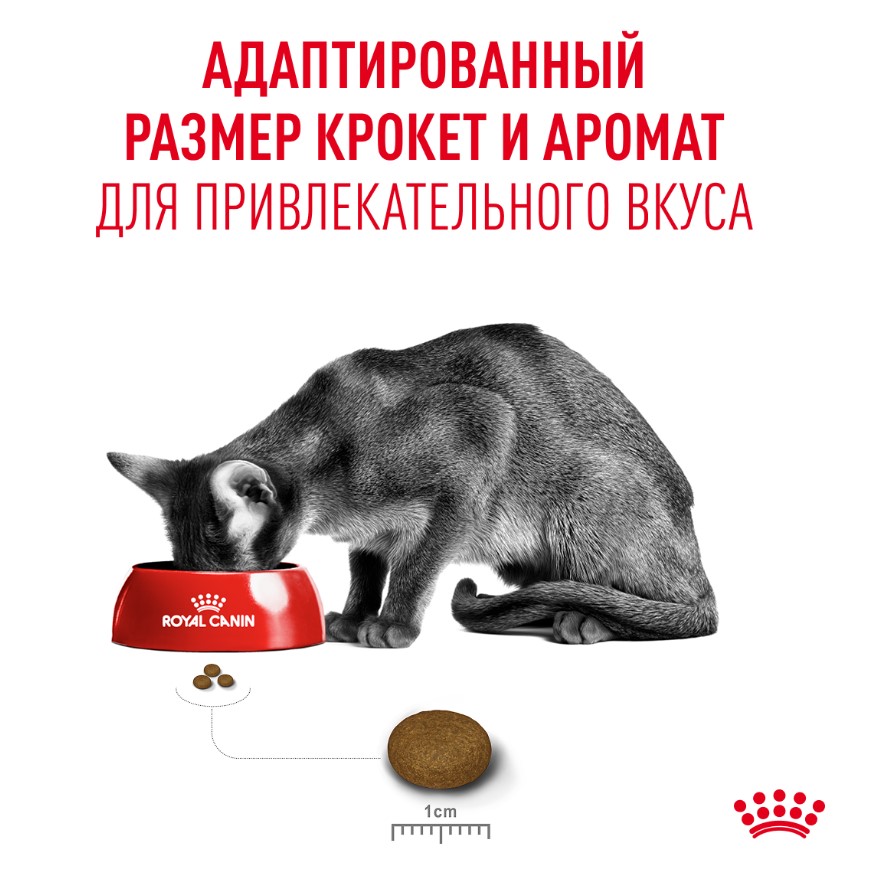 Корм сухой для привередливых кошек Royal Canin Fussy