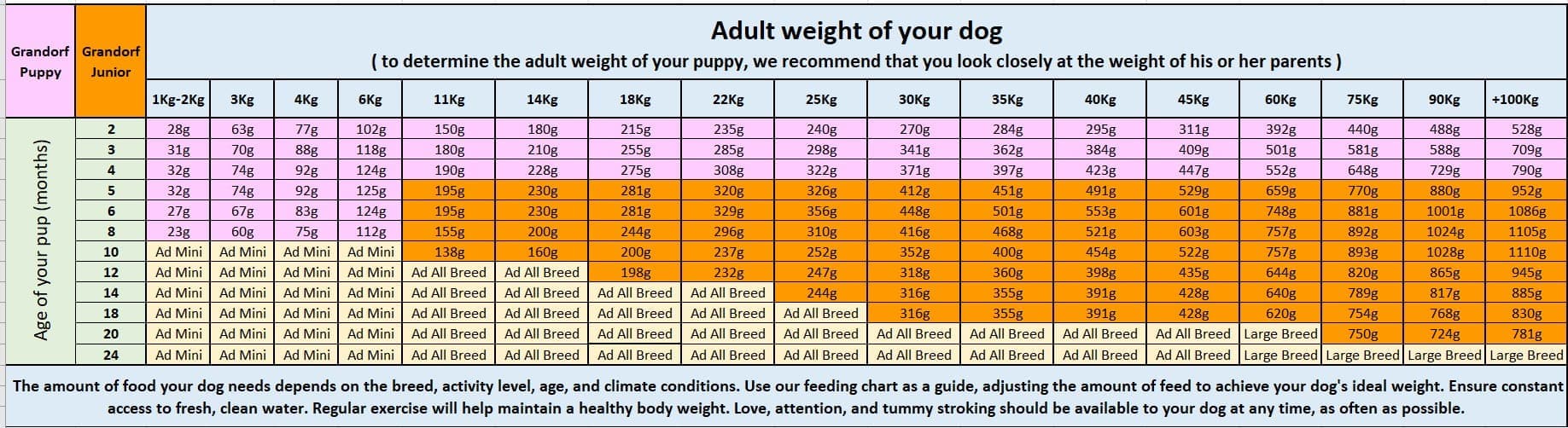 Каталог Сухой корм для собак Grandorf Junior Medium & Maxi (ягненок, индейка) для собак