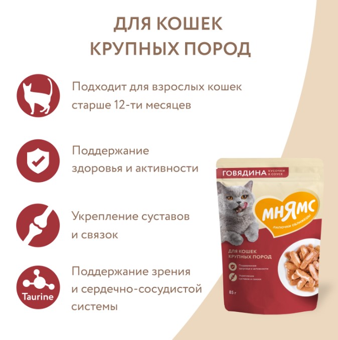 Влажный корм Мнямс Кусочки в соусе с говядиной для крупных кошек