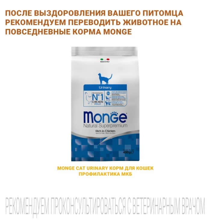 Диетический корм для кошек Monge VetSolution Urinary Struvite Cat