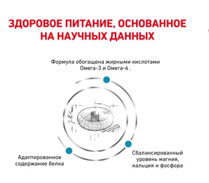 Сухой корм для кошек Royal Canin Skin & Coat ветеринарный корм для кожи и шерсти у кошек 