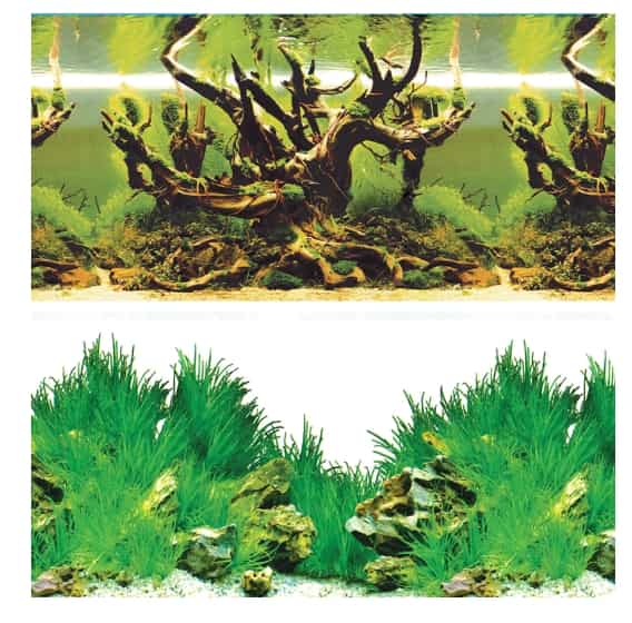 Фон 9098/9030 300*600 мм "Таинственный лес/Новое утро" Laguna (74064085)