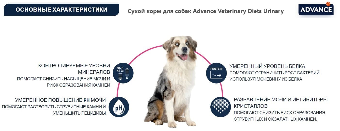Диетическое питание Сухой корм для собак Advance Veterinary Diets Urinary