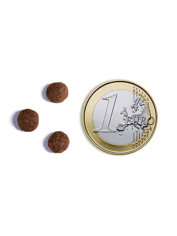 Еда для собак мини пород Сухой корм для собак Мини пород Ambrosia Grain Free Dog Adult Mini (лосось, курица)