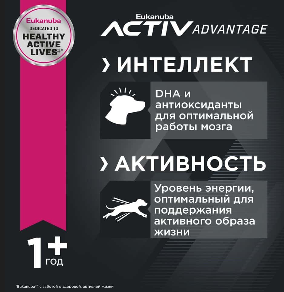 Питание для мелких собак Сухой корм для собак Eukanuba Adult Toy Breed (птица)