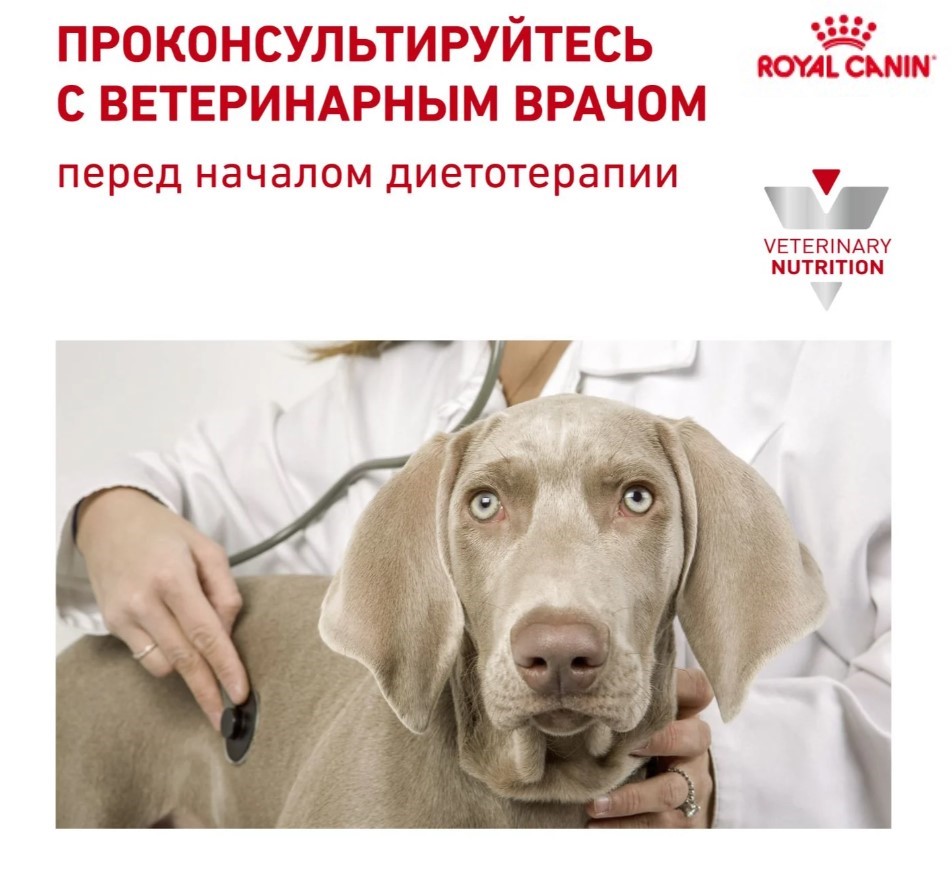 Еда для собак Консервы для собак Royal Canin Recovery 195 гр