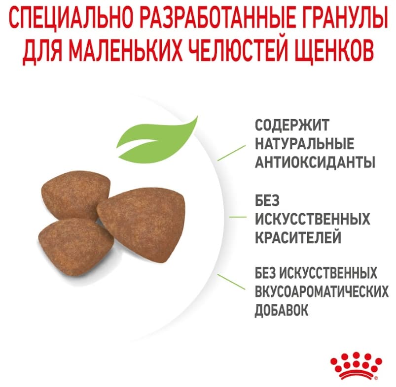 Еда для щенков Сухой корм для щенков Royal Canin Mini Puppy