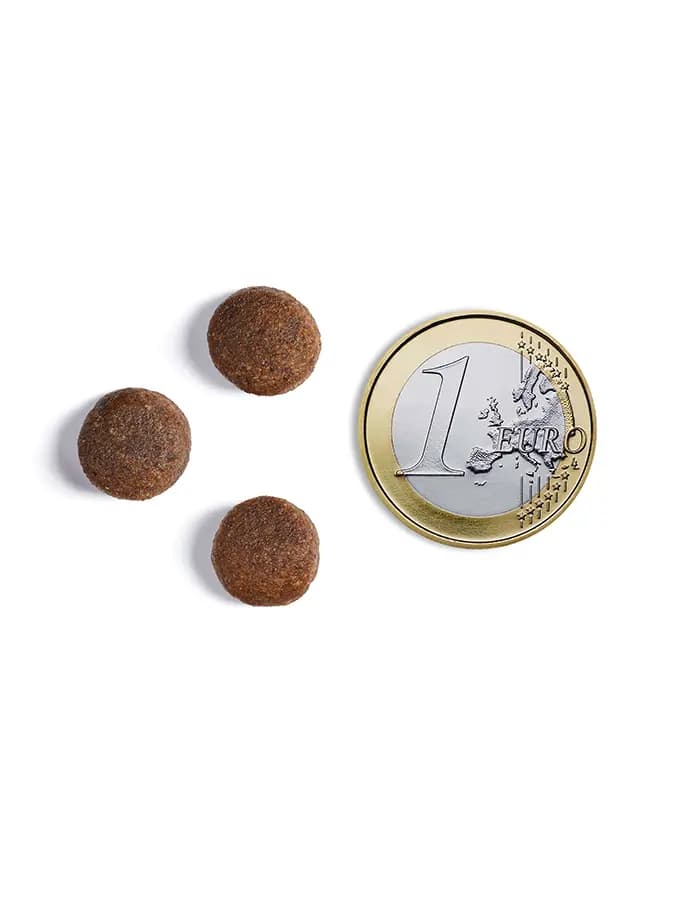 Рацион для собак всех пород Сухой корм для собак Ambrosia Grain Free Dog Adult All Breed (курица, лосось)