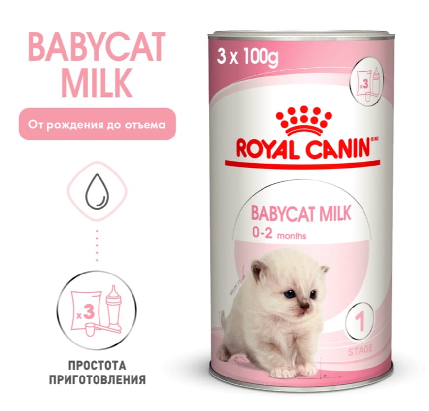 Молочная смесь для котят, как замена молока Сухое молоко для котят Royal Canin Babycat Milk