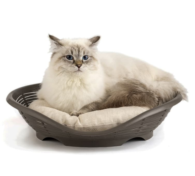 Лежанка с подушкой BAMA PET PASHA