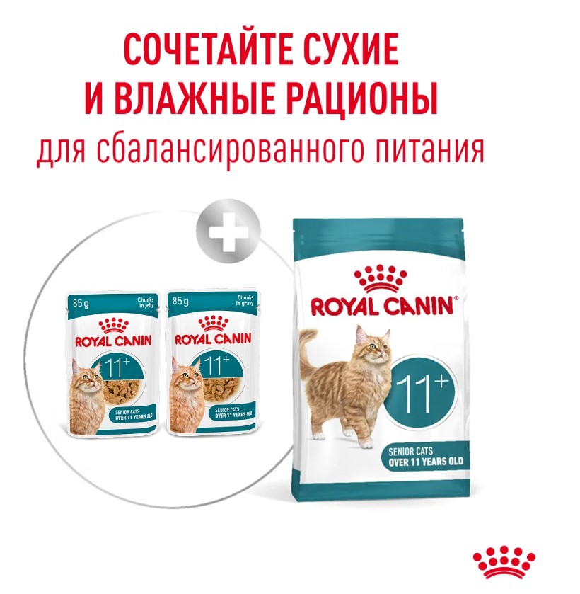 Влажный корм для пожилых кошек Royal Canin Ageing 11+ (кусочки в соусе)
