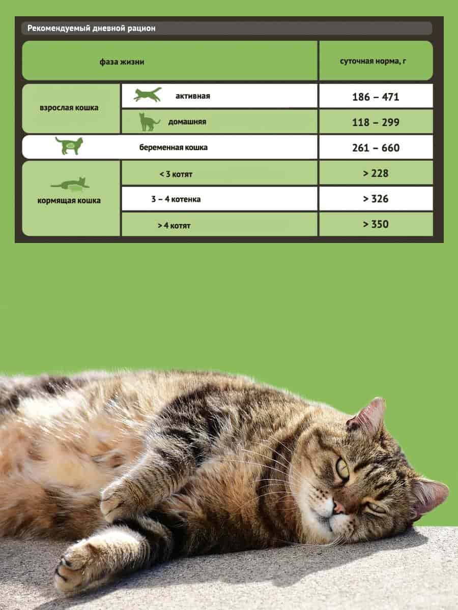 Влажное питание для кошек ProBalance Sensitive Cat