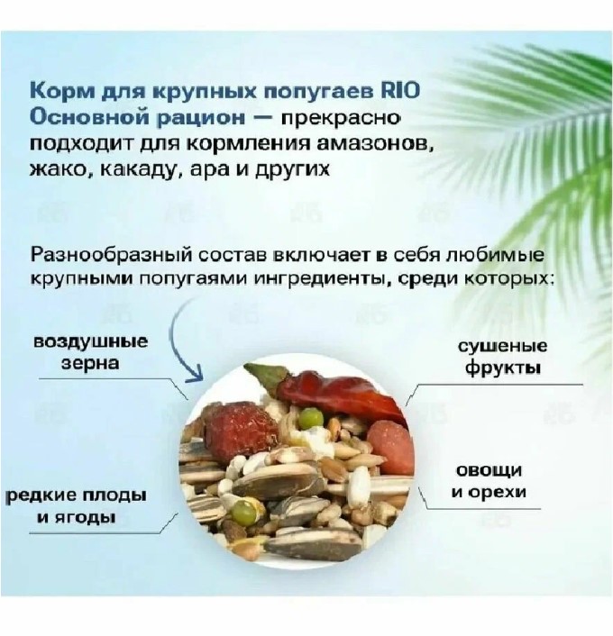 Корм для крупных попугаев "Rio" 500 гр