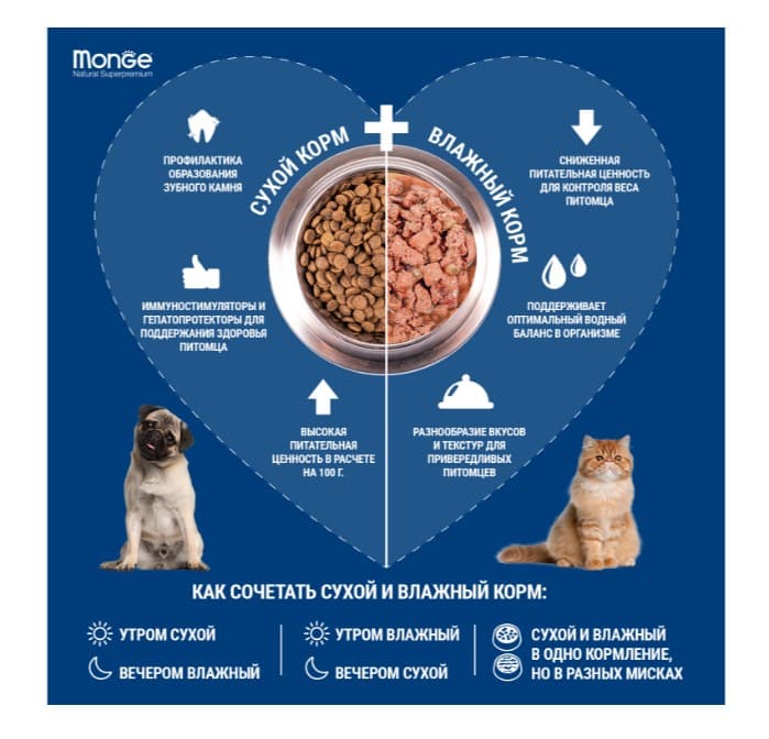 Каталог Сухой корм для собак Monge Dog Monoprotein Adult Mini (ягненок, рис) для собак