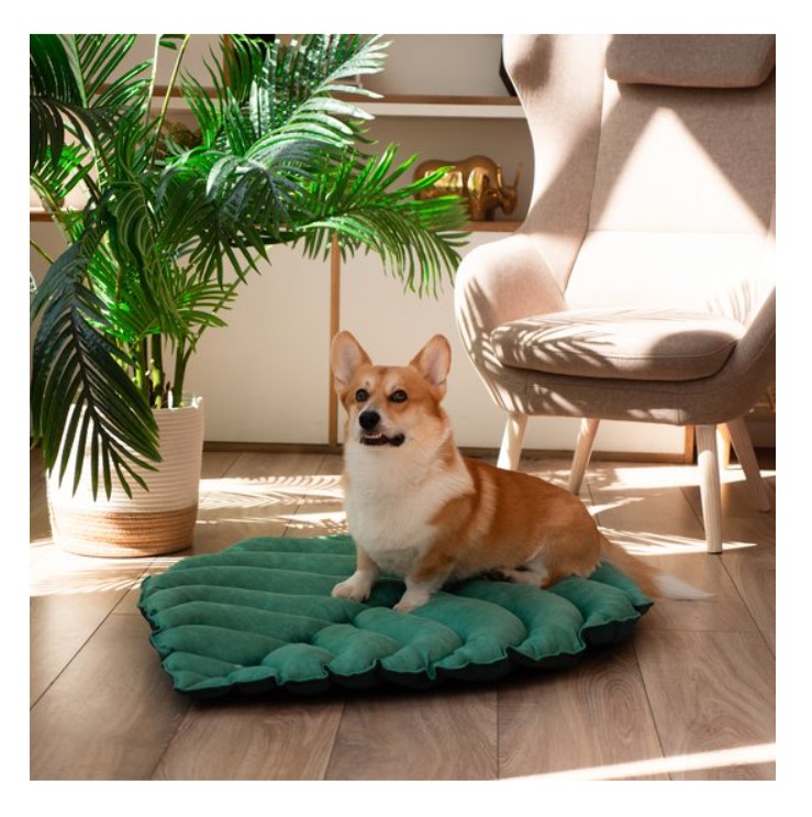 Лежанка Mr.Kranch для собак Листочек двусторонняя с имитацией кожи (зеленая)