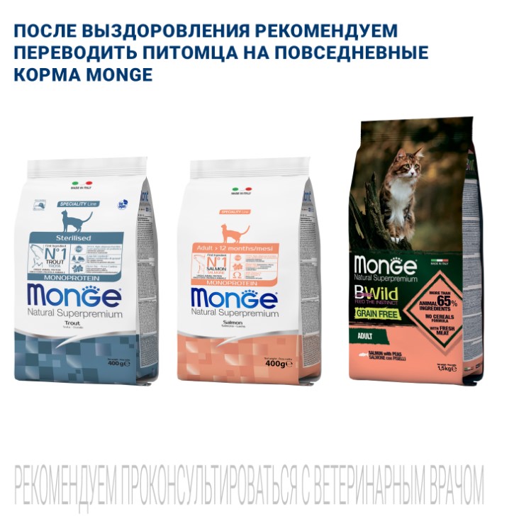 Лечебный рацион для кошек Monge VetSolution Dermatosis Cat