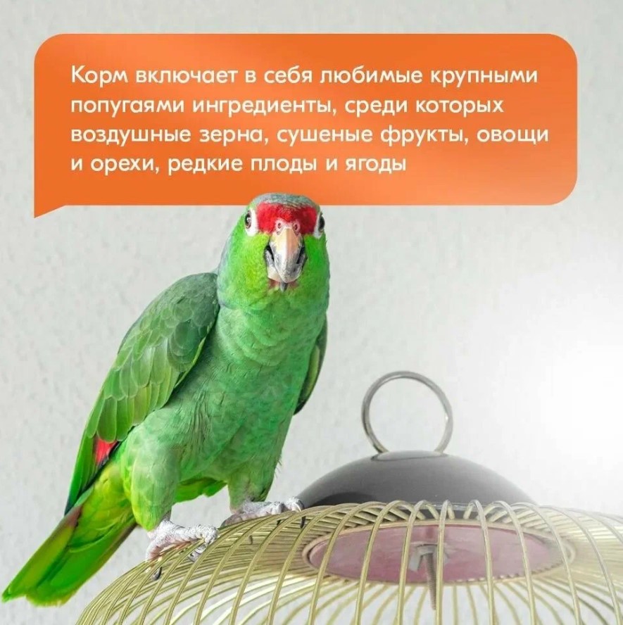 Корм для крупных попугаев "Rio" 500 гр