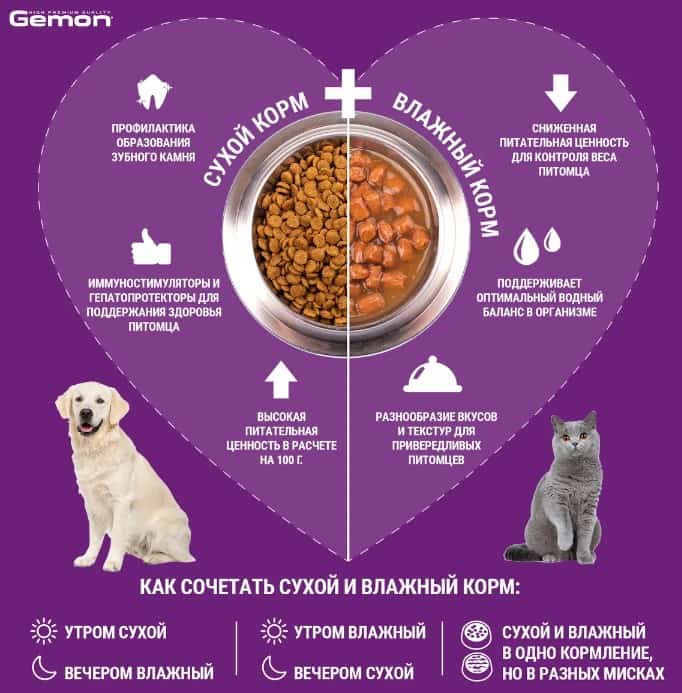 Консервы для щенков Gemon Puppy & Junior (цыпленок, индейка)