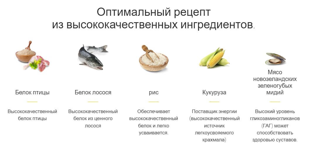 Каталог Сухой корм для собак Josera Fiesta Plus Adult для собак