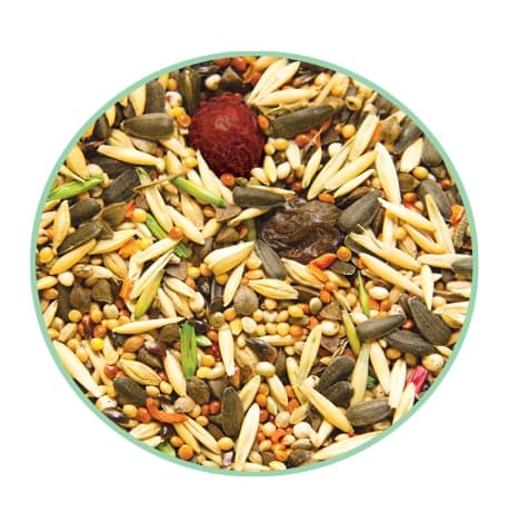 Корм для средних попугаев Triol Original 450 гр (50111015)