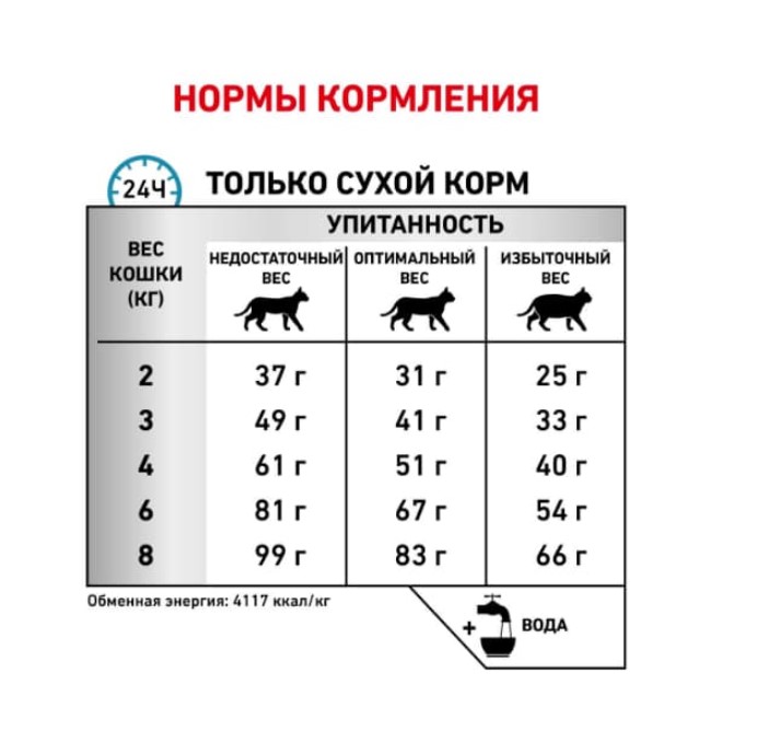 Сухой корм для кошек Royal Canin Hypoallergenic Cat