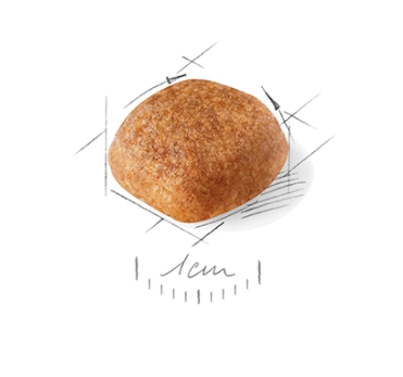 Еда для собак Сухой корм для собак Royal Canin Cavalier King Charles Adult