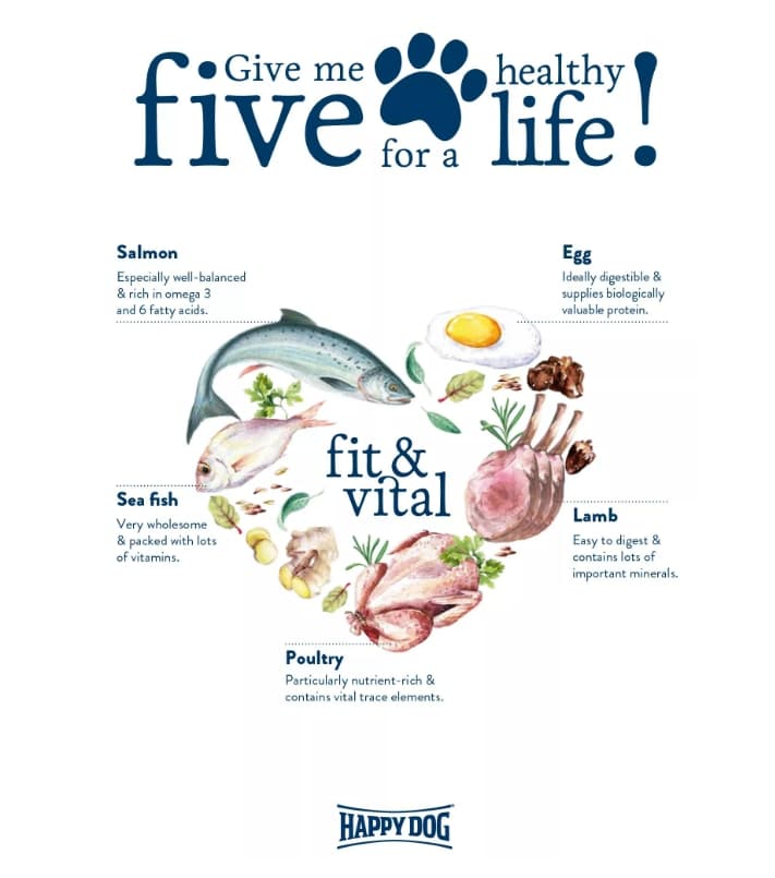 Каталог Сухой корм для собак HAPPY DOG Supreme Mini Adult для собак