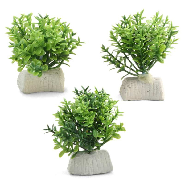 Растение для аквариума "Микрантемум", 1 ветка, (набор 3шт), 50 мм ( 74044118)