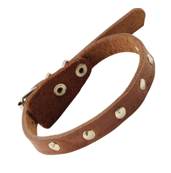 Ошейник кожаный с украшением Gamma