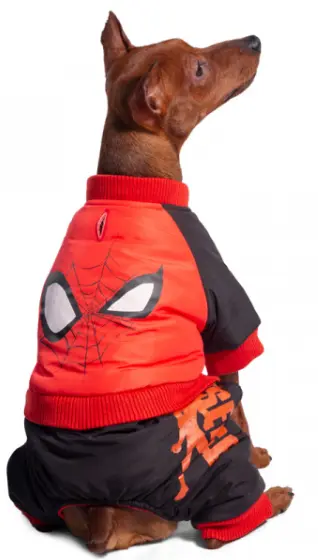 Комбинезон зимний Marvel Человек-паук Triol-Disney