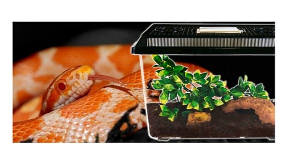 Фаунариум многоцелевой EXO TERRA 460х300х170 мм (PT2310)