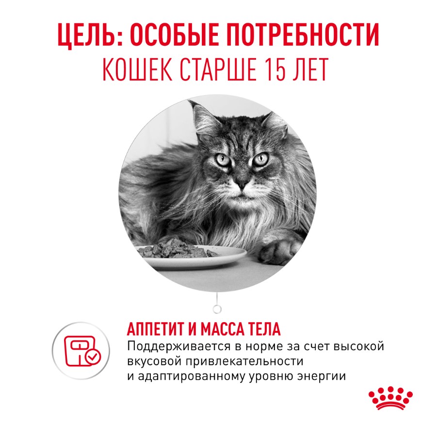 Сухой корм для очень пожилых кошек Royal Canin Ageing 15+