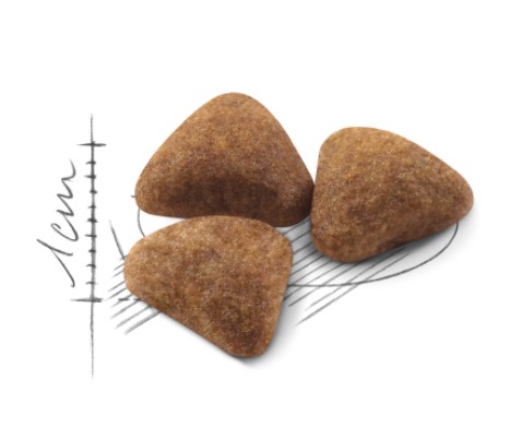 Сухой корм для кошек Royal Canin Indoor 27 полнорационный сухой корм для кошек