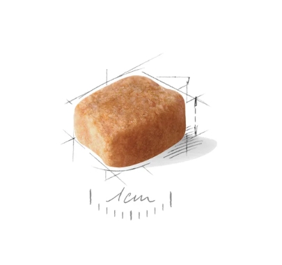 Питание для собак Сухой корм для собак Royal Canin Dachshund Adult