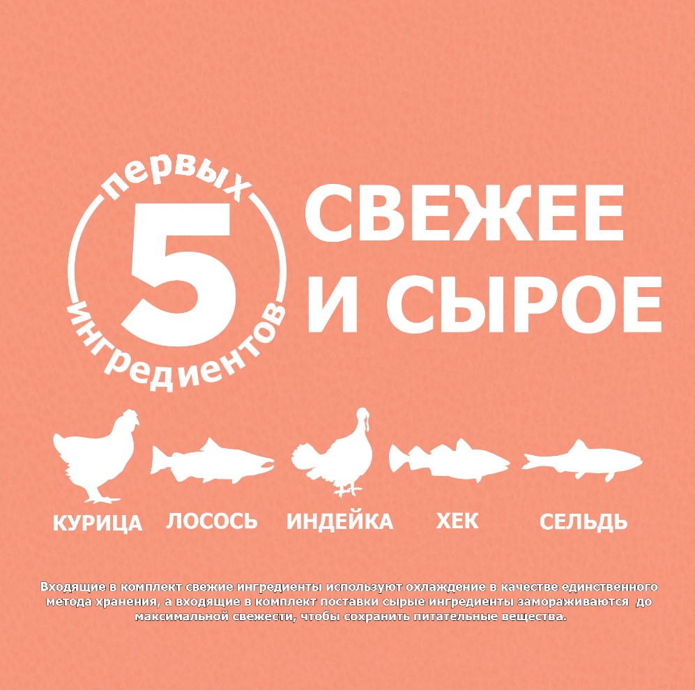 Каталог Сухой корм для щенков ORIJEN PUPPY SMALL BREED DOG для собак