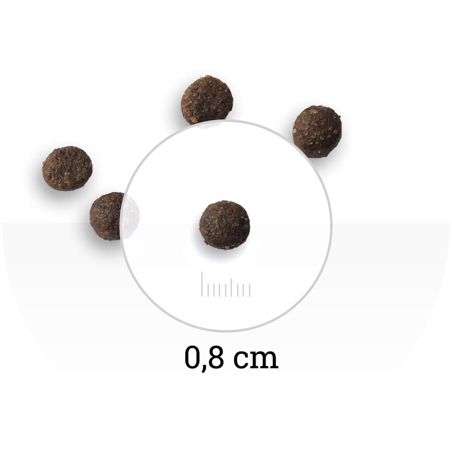 Еда для щенков Bon Appetit DOG Puppy (курица, рис)