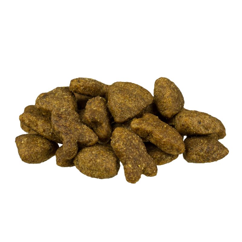 Сухой корм для собак Bosch Adult (лосось с картофелем) еда для собак средней активности