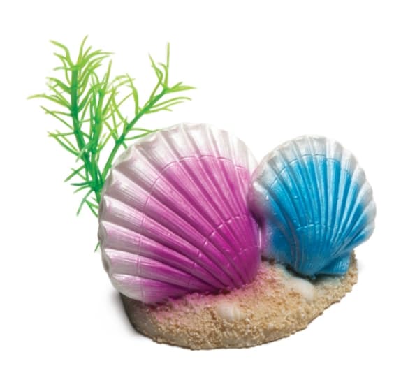 Грот "Ракушки каури" 90*63*53 мм Laguna (74004178)