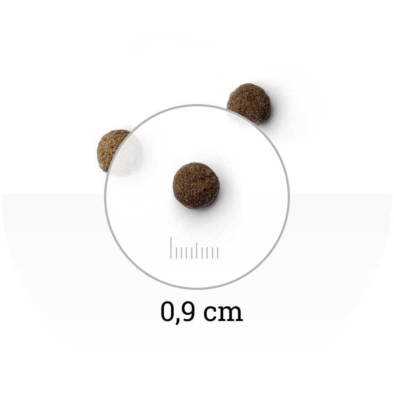 Питание для кота Сухой корм для кошек Natura Wild Sensitive CAT Niagara Falls (фазан)