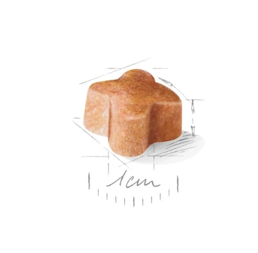 Еда для щенков Сухой корм для щенков Royal Canin German Shepherd Puppy