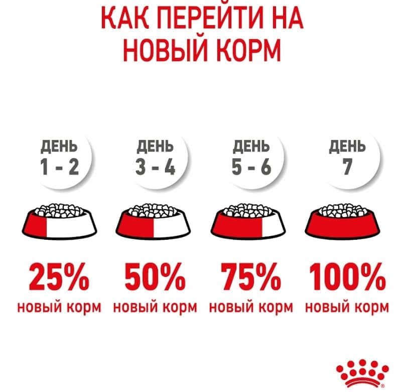 Еда для щенков Сухой корм для щенков Royal Canin Mini Starter