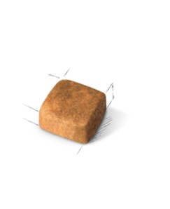 Royal Canin Persian Kitten полнорационный корм для персидских котят (в возрасте до 12 месяцев)