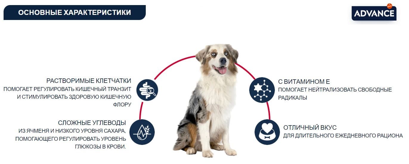 Ветеринарный корм для собак Сухой корм для собак Advance Veterinary Diets Diabetes