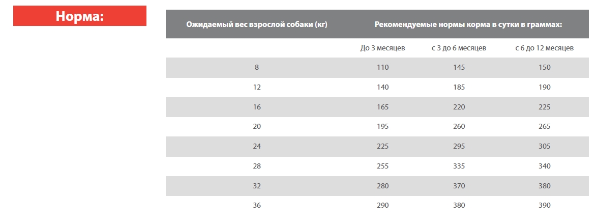 Каталог Сухой корм для щенков Blitz Holistic Puppy & Junior (утка, ягненок) для собак