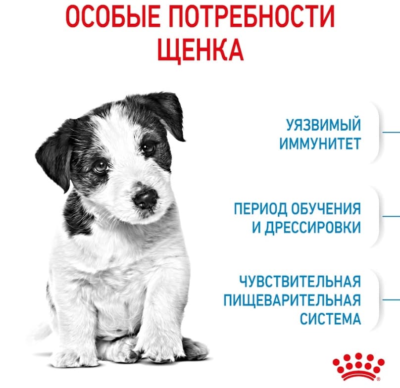 Еда для щенков Сухой корм для щенков Royal Canin Mini Puppy