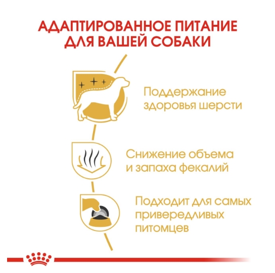 Еда для собак Сухой корм для собак Royal Canin Maltese Adult