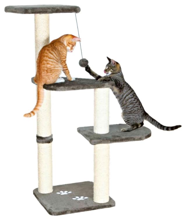 Когтеточка TRIXIE Altea 117 см (43882)