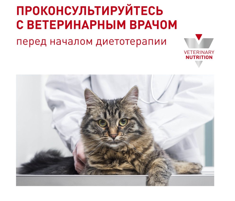 Еда для кота Влажный корм для кошек Royal Canin Neutered Maintenance Cat (мелкие кусочки в соусе)