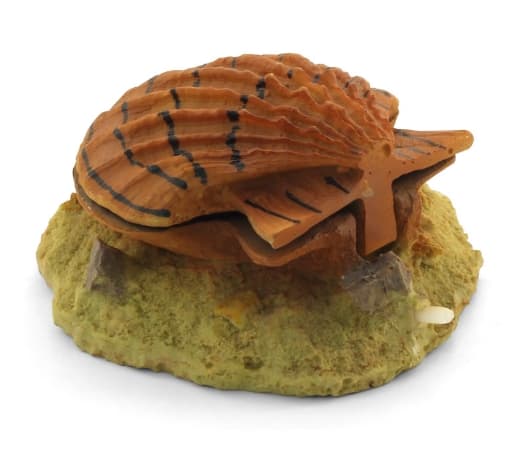 Грот аэрационный 249KA "Раковина с жемчужиной" 145*130*65 мм Laguna (74014005)