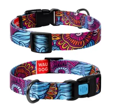 Ошейник с рисунком ЛЕТО "WAUDOG" Nylon